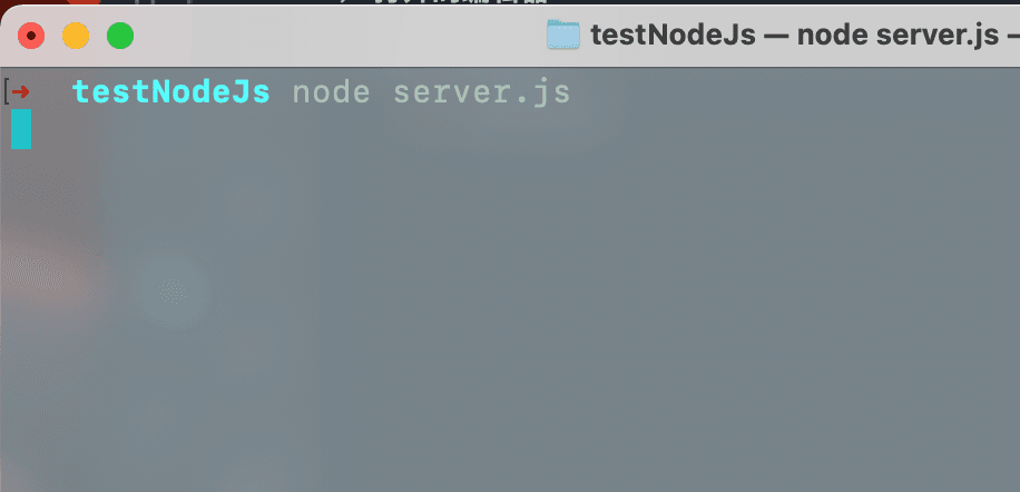 start_node_server